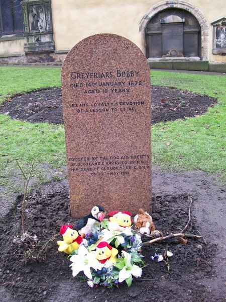Bobby's grave.jpg